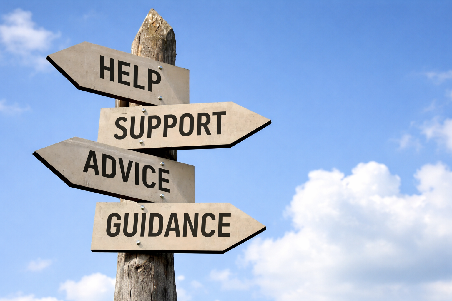 Top Converting Promo Tools at A.W. Empire: A Practical Guide for Affiliates